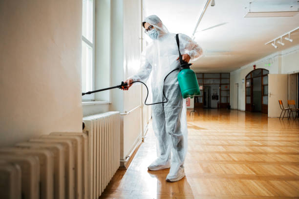 Best Real Estate Pest Inspections  in Caruthersville, MO